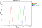 Anti-Cofilin 2/CFL2 Antibody Picoband™ (monoclonal, 8C13)